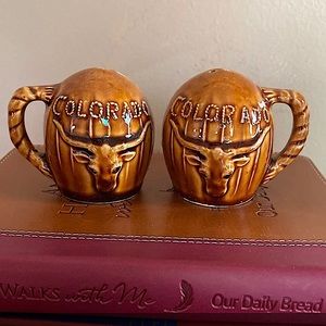 Vintage Souvenir Colorado  Salt & Pepper Shakers